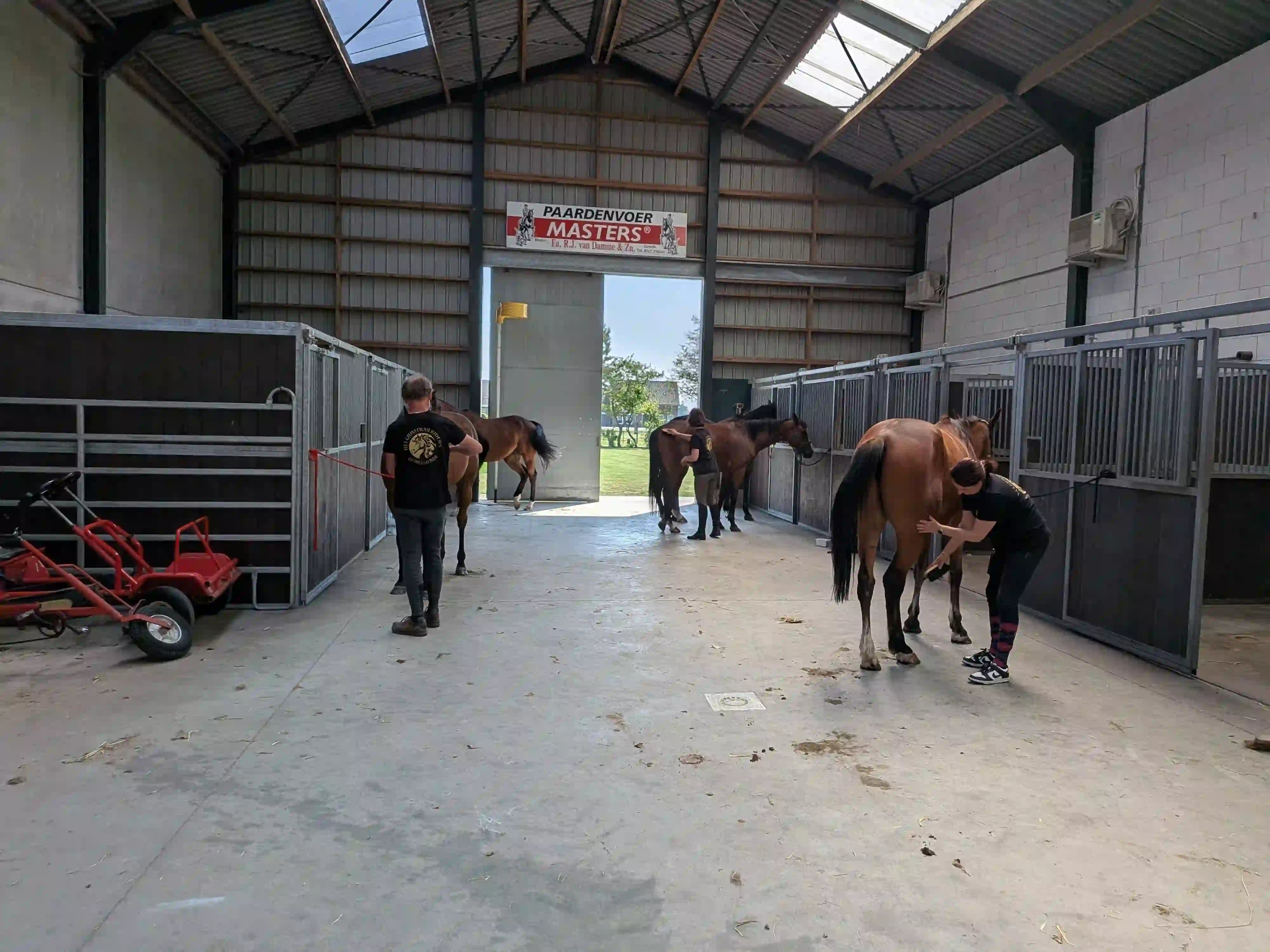Paardenboxen Dorpscamping Groede 2